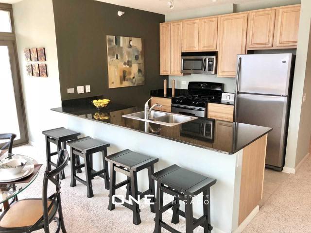 Apartment for rent in Chicago, Cook County