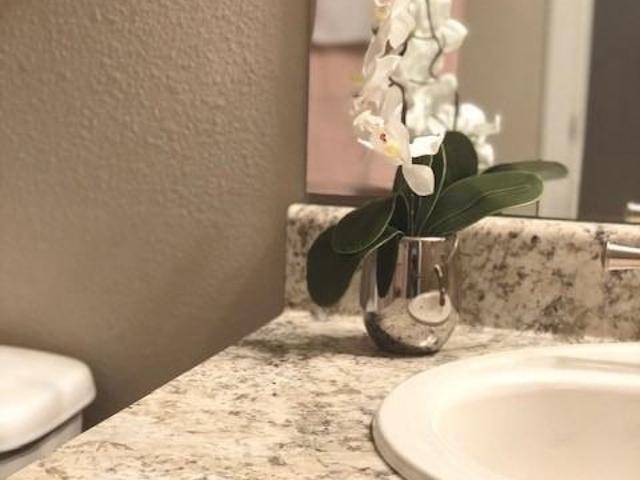 Apartment for rent in Harris, Texas