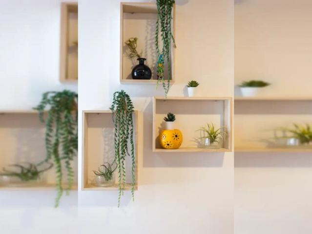 Apartamento alugar em Coimbra (Sé Nova, Santa Cruz, Almedina e São Bartolomeu), Coimbra