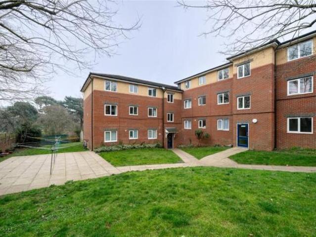 Apartment for rent in Cat Hill