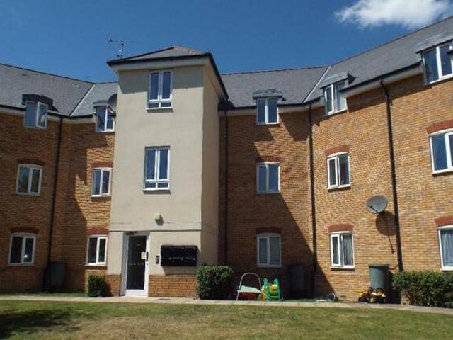 House for rent in Chelmsford