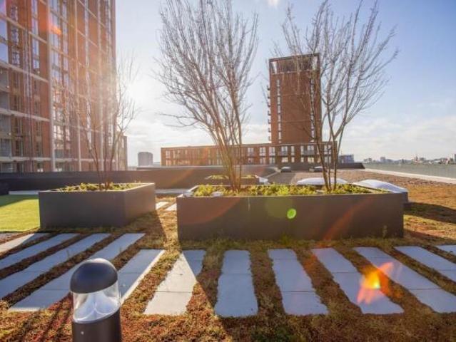 Apartment for rent in City Centre, Georgia