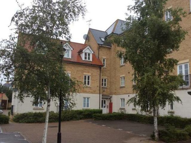 House for rent in Ravenswood, Key Street