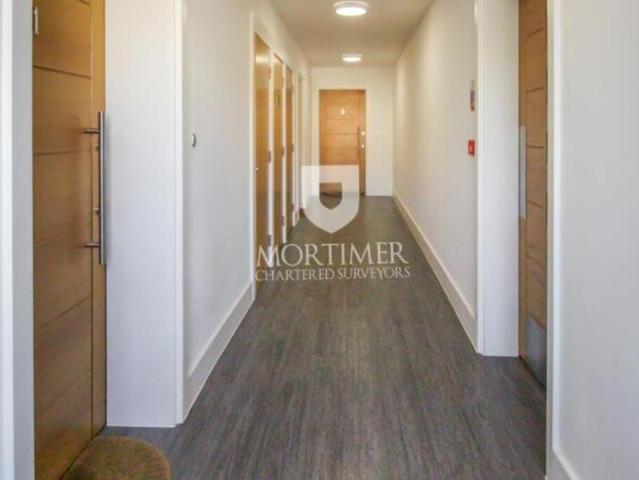 Apartment for rent in Cat Hill