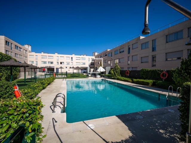 Apartamento en alquiler en Las Rozas De Madrid, Madrid