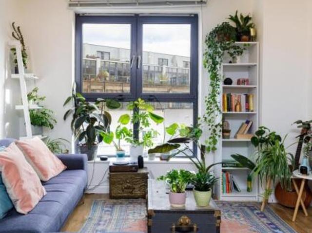 Apartment for rent in Cat Hill