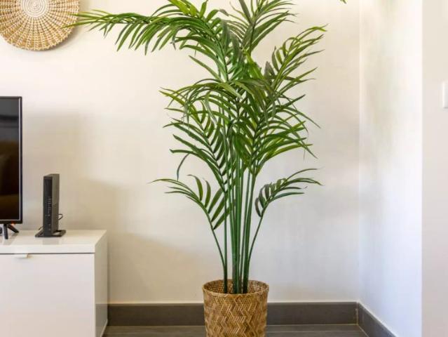 Apartamento alugar em Portimão