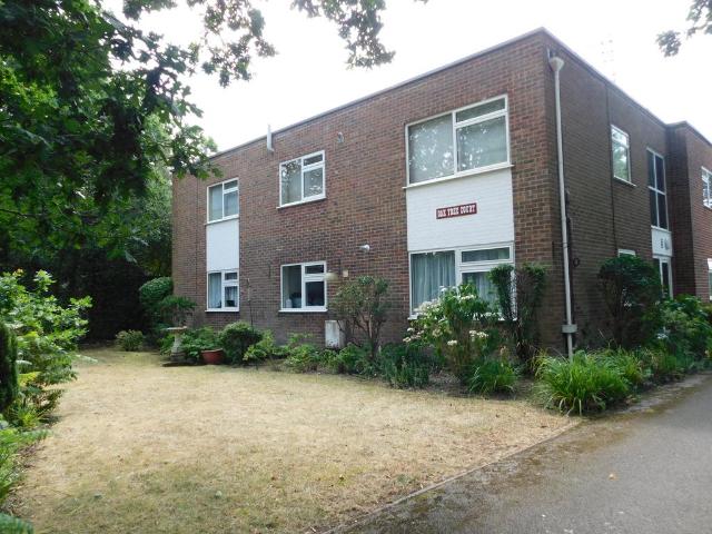 Flat for sale in Jumpers Corner, Christchurch
