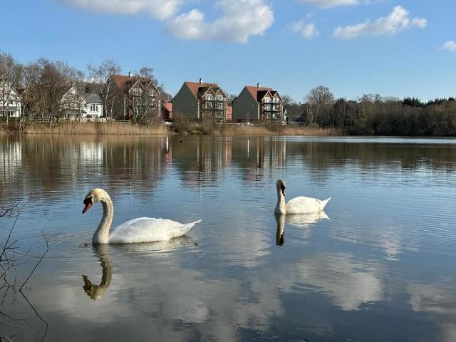 Flat for sale in Heol-las, Surrey