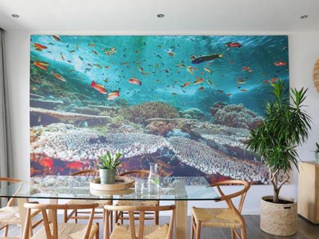 Apartment for rent in Cape Town, Western Cape