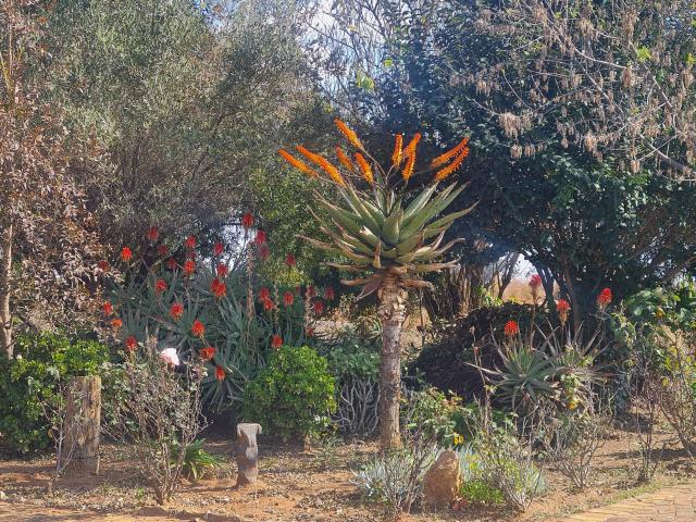 Apartment for rent in Ekurhuleni, Gauteng
