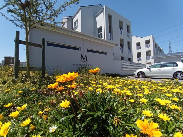 Apartment for rent in Western Cape