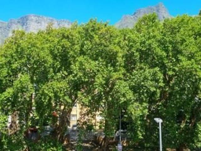 Apartment for rent in Cape Town, Western Cape