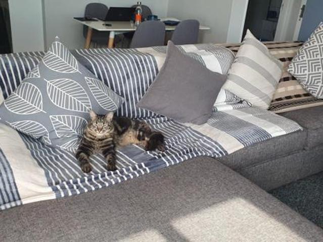 Apartment for rent in Cape Town, Western Cape