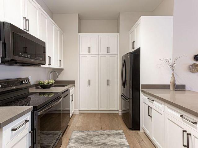 Apartment for rent in Kingston, Ontario