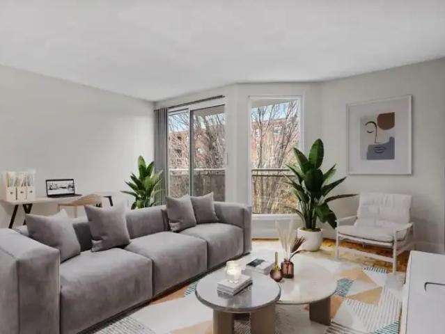 Apartment for rent in Sydenham, Kingston