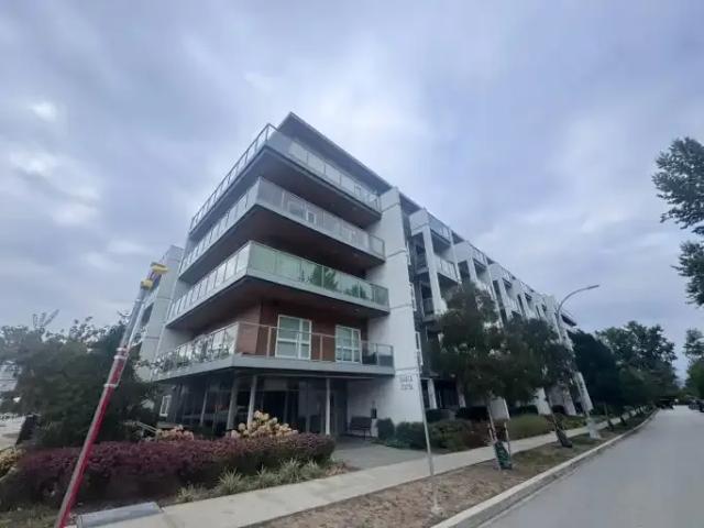 Apartment for rent in Walnut Grove, British Columbia