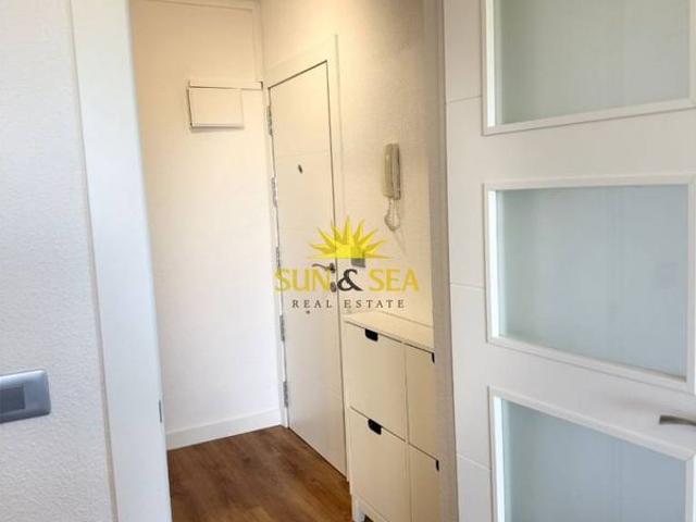 Apartamento en alquiler en Torrevieja, Alicante