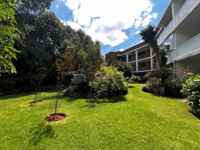Apartment for rent in Illovo, Rosebank