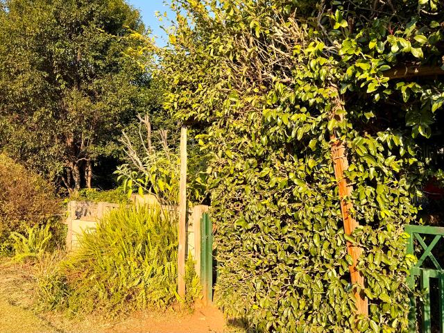 Apartment for rent in Northern Cape