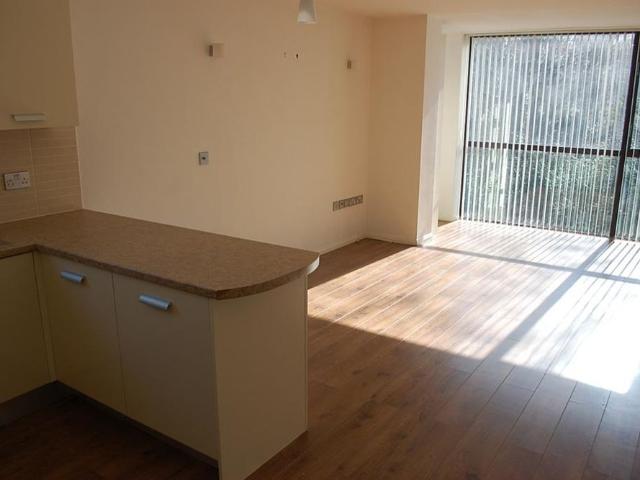 Apartment for rent in Springs, Greenheys