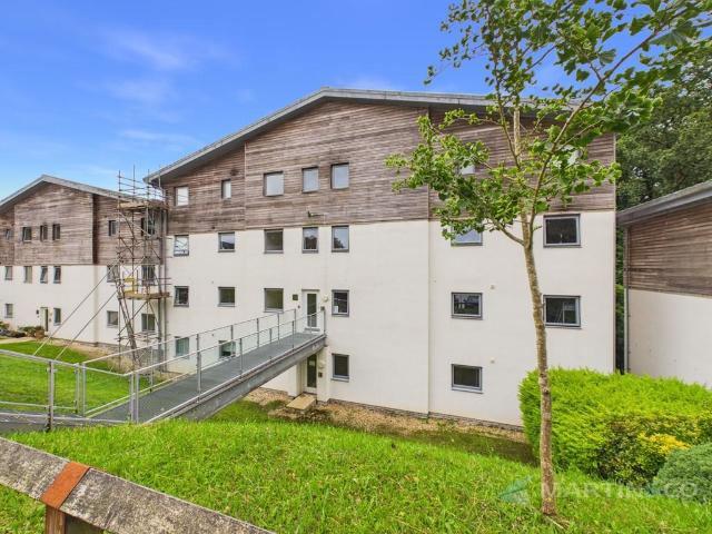 Flat for rent in St. Austell Bay, Cornwall