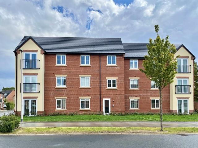 Flat for rent in Hammond Street