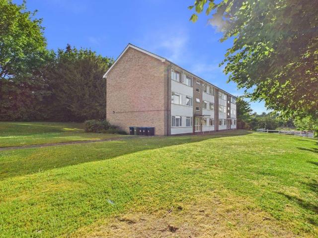 Apartment for rent in Hillview, Surrey