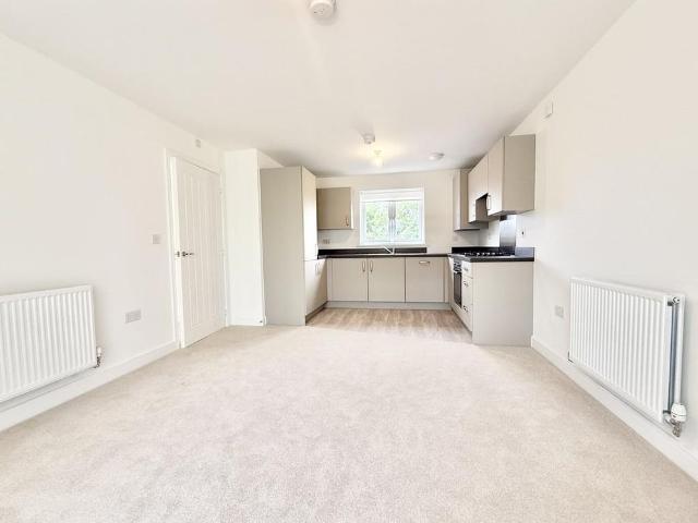Apartment for rent in Hammond Street