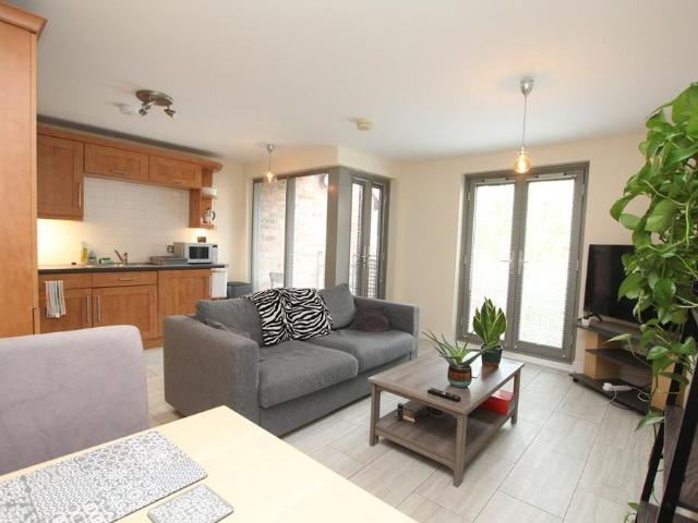 Apartment for rent in Newtown, Two Mills