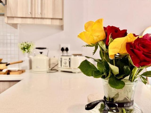 Apartment for rent in Cape Town Ward 60, Cape Town
