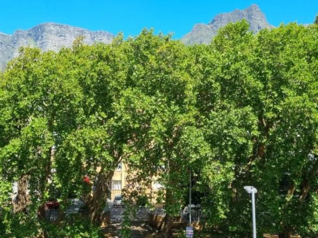 Apartment for rent in Cape Town, Western Cape