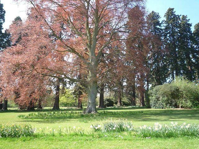 Apartment for rent in Redhill, Reigate and Banstead