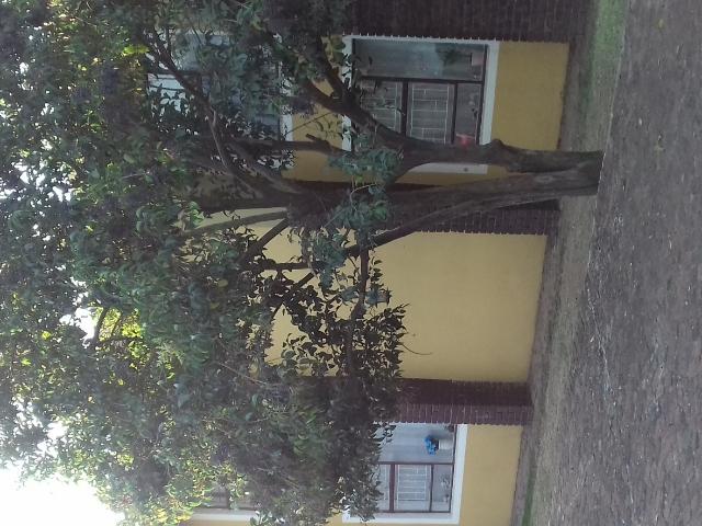 Apartment for rent in Vaalpark, Metsimaholo Local Municipality