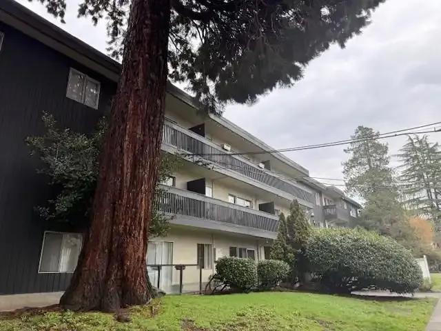 Apartment for rent in Vancouver, British Columbia