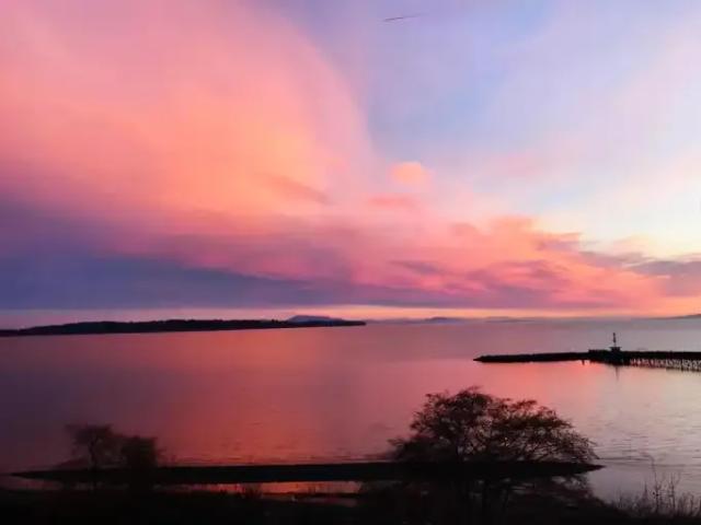 Apartment for rent in West Beach, White Rock