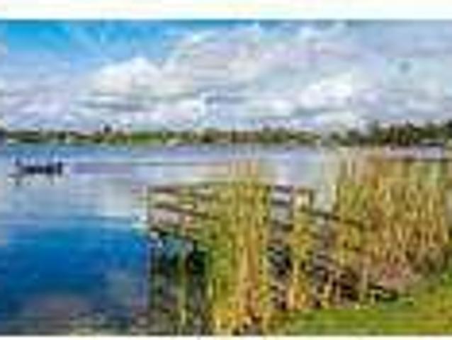 House for rent in Lake Alfred, Florida