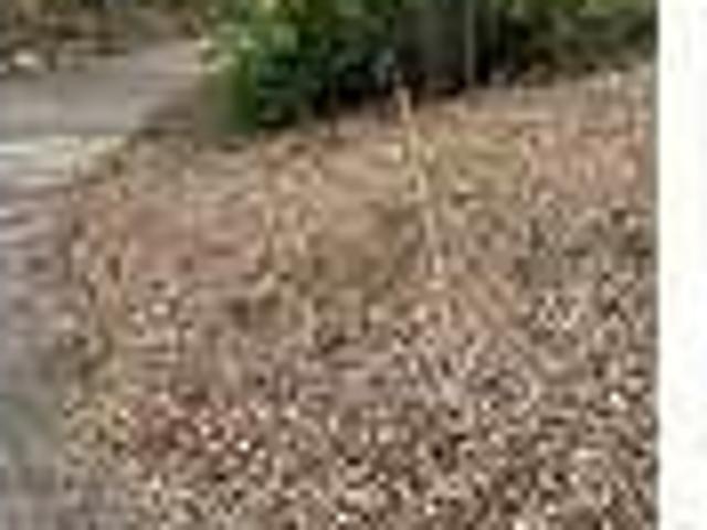 House for rent in Rockland, New York