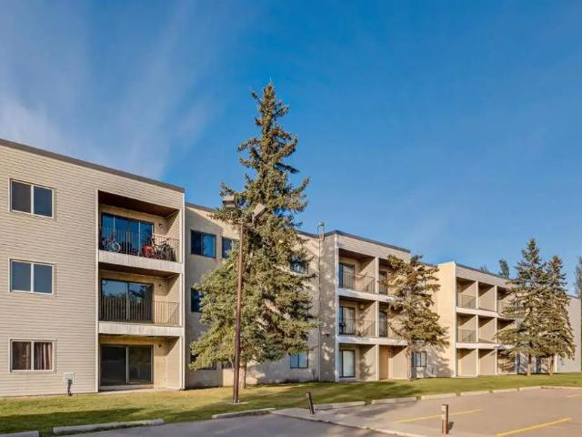 Apartment for rent in Wetaskiwin, Alberta