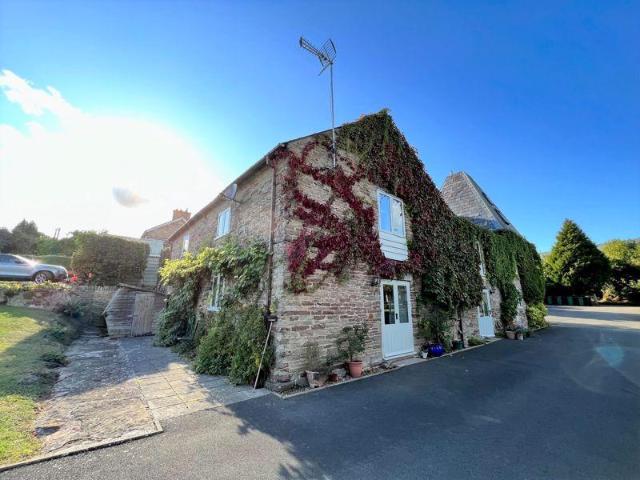 House for rent