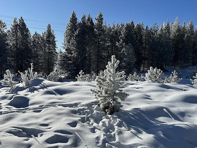 Property for rent in Cranbrook, British Columbia