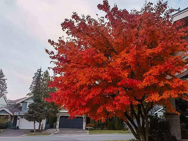 Property for rent in Burnaby, British Columbia