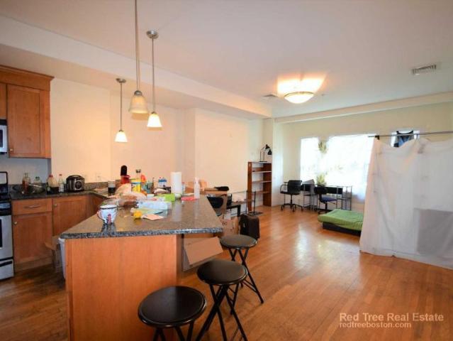Condo for rent in Boston, Massachusetts