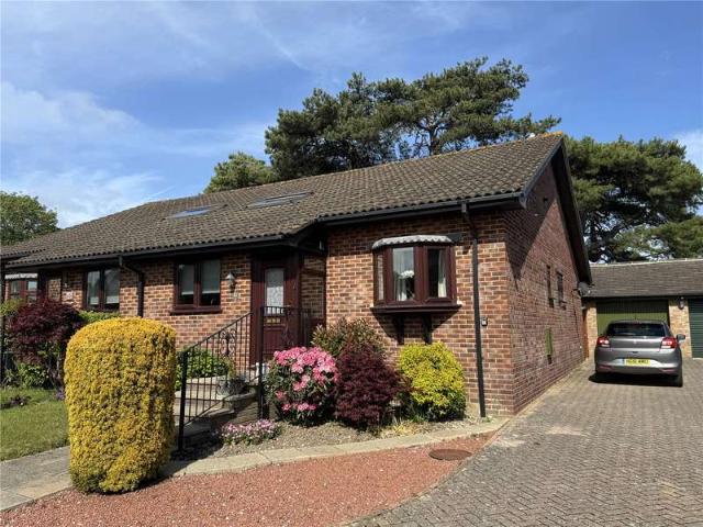Bungalow for sale in Ashurst Bridge, Hampshire