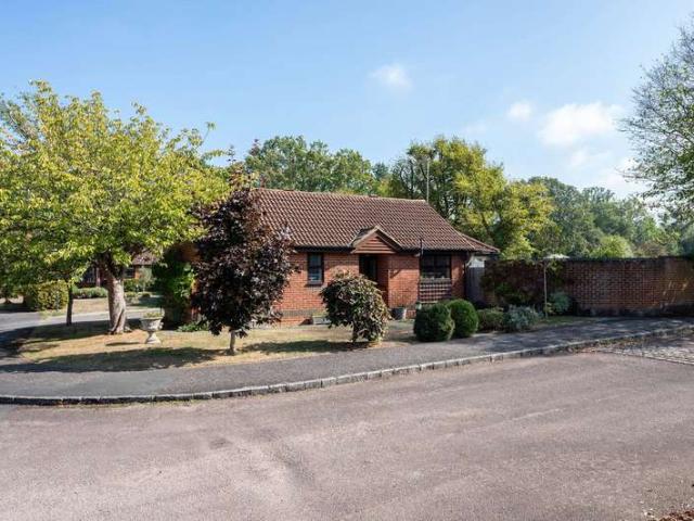 Bungalow for rent in East Horsley, Guildford