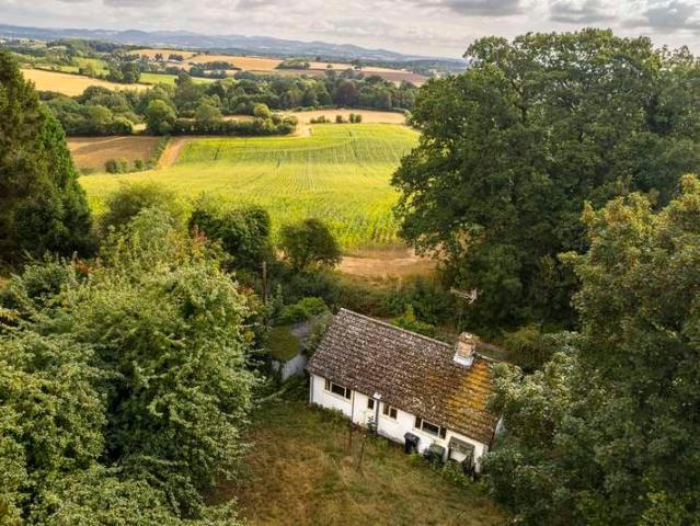 Bungalow for sale in Crow Hill, Upton Bishop