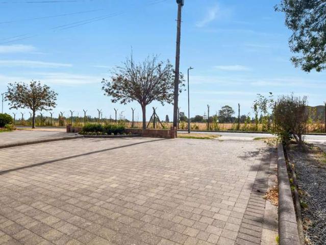 Bungalow for sale in Alton Barnes, Essex
