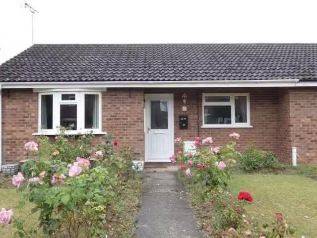 House for rent
