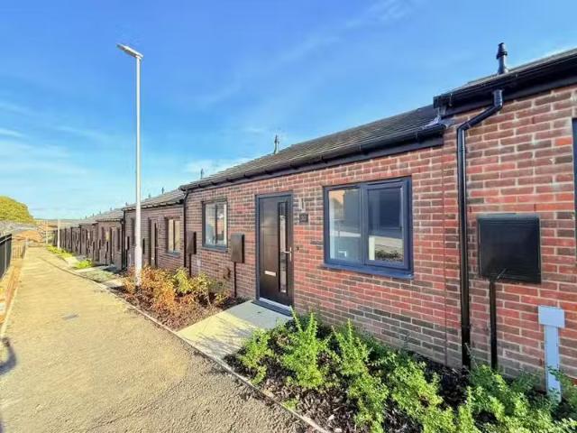 House for rent
