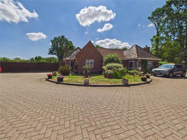 Bungalow for sale in Langham, Fordham Heath